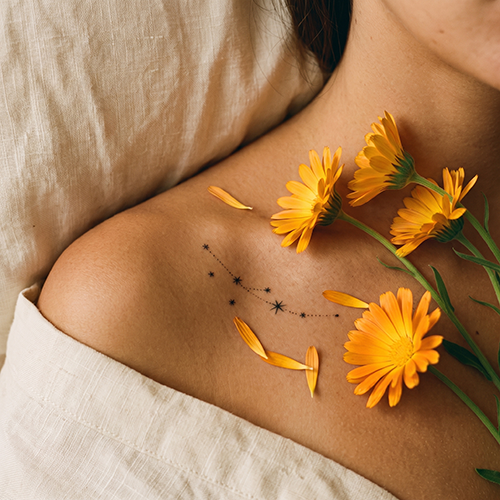 Calendula