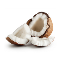 CHARBON DE COCO
