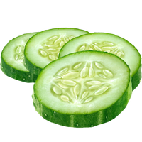 CONCOMBRE