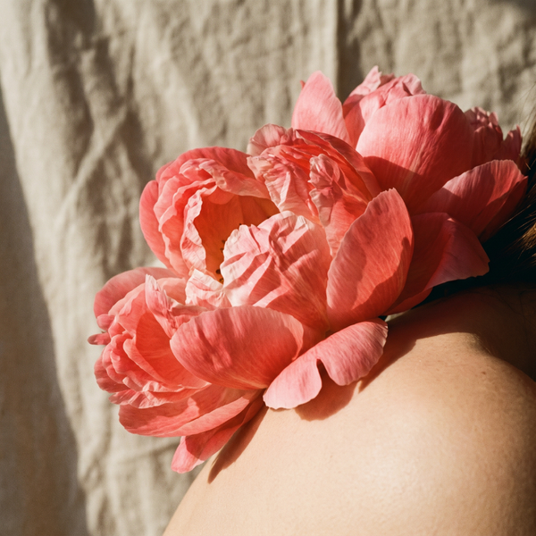 Pivoine